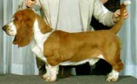 6a
