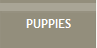 PUPPIES