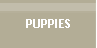 PUPPIES