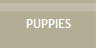 PUPPIES
