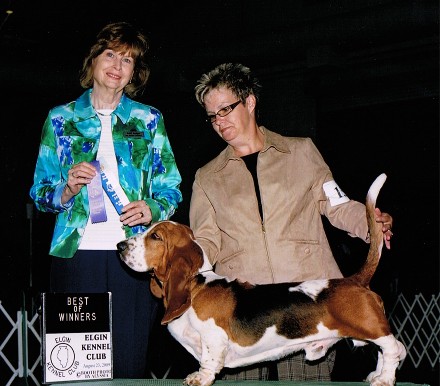 Boe wins in Chicago 2009